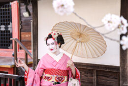 Japan_Sakura_2025 (28/79)
